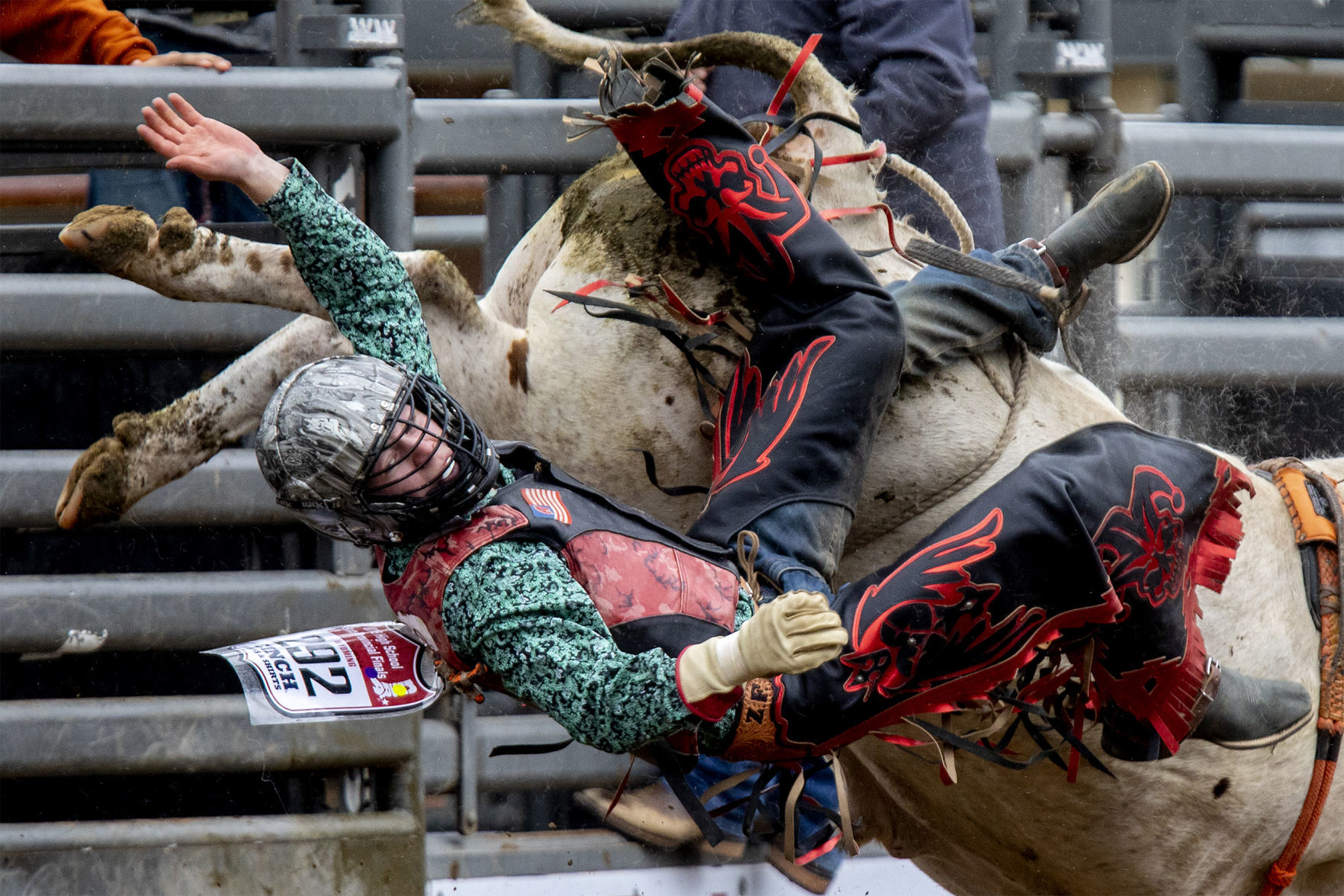 Rodeo gallery